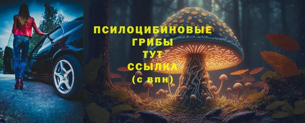 ГАЛЛЮЦИНОГЕННЫЕ ГРИБЫ Алексин