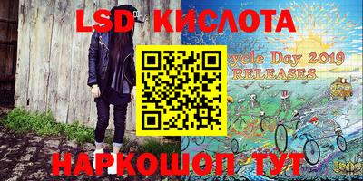 индика Камышлов