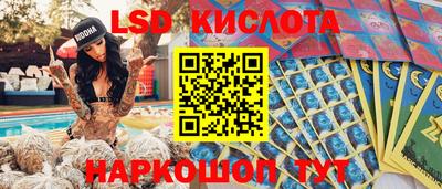 индика Камышлов