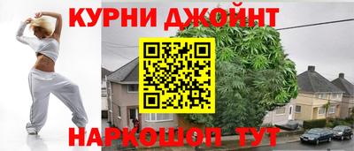 индика Камышлов