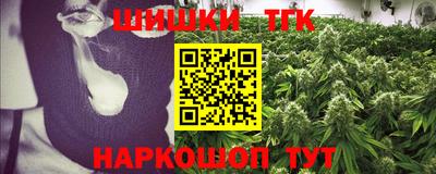 индика Камышлов