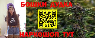 стафф Кандалакша