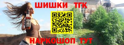 индика Камышлов