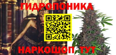 стафф Кандалакша
