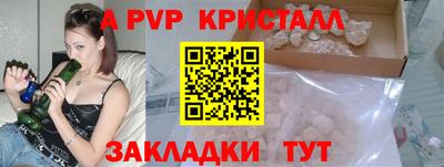 индика Камышлов