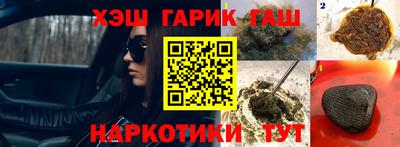 индика Камышлов