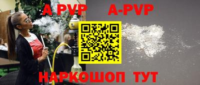 индика Камышлов