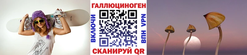 Псилоцибиновые грибы мицелий где можно купить Феодосия