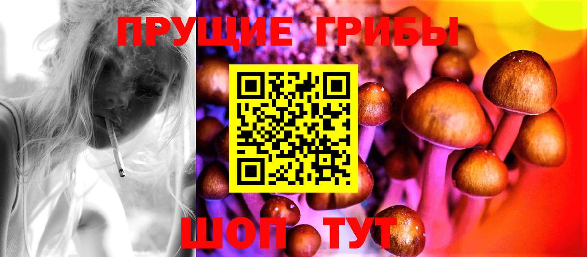 Псилоцибиновые грибы Psilocybine cubensis Феодосия